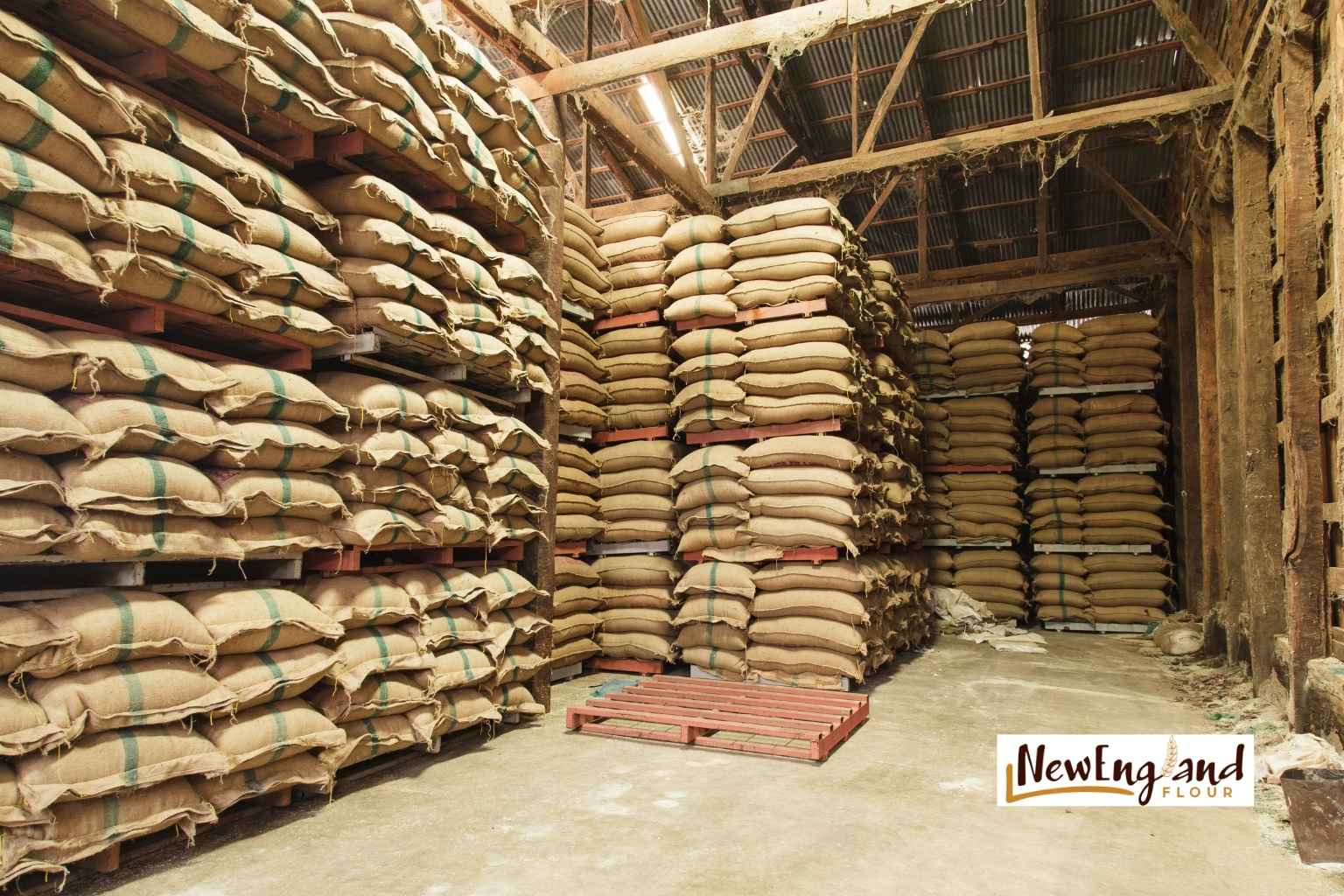 What Bulk Buyers Should Know About Ingredient Sourcing